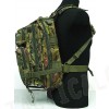 Level 3 Molle Assault Backpack CADPAT Digital Woodland Camo