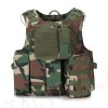 USMC Molle Combat Assault Plate Carrier Vest