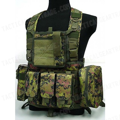 FSBE LBV Load Bearing Molle Assault Vest CADPAT Digital Camo