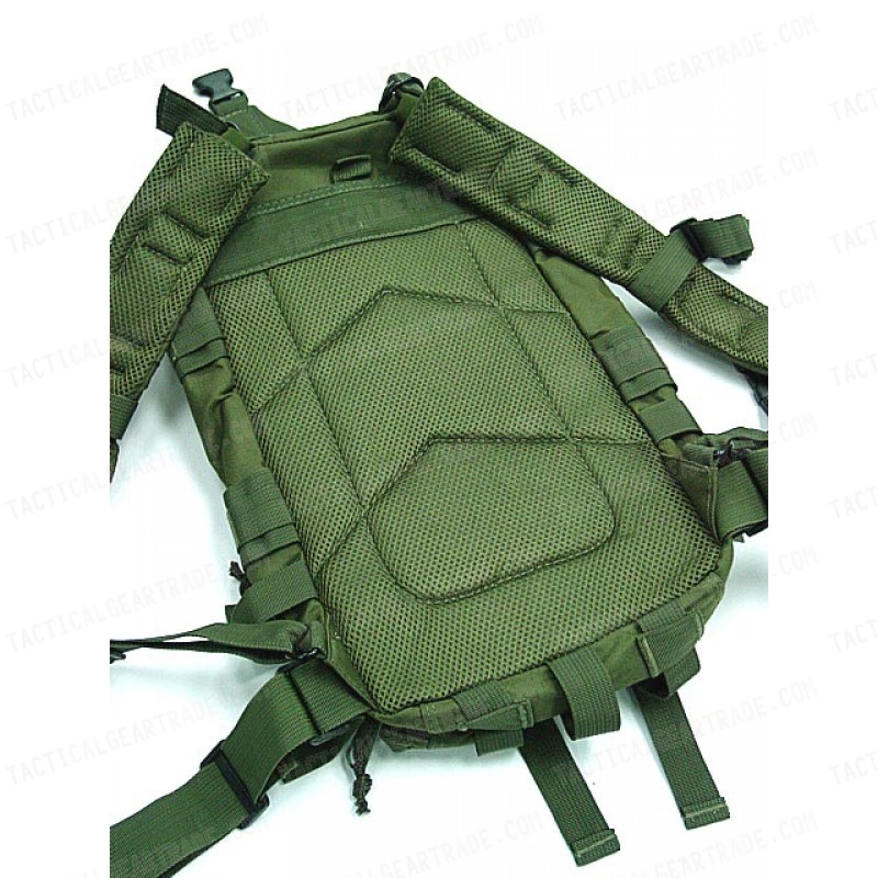 Level 3 Molle Assault Backpack OD