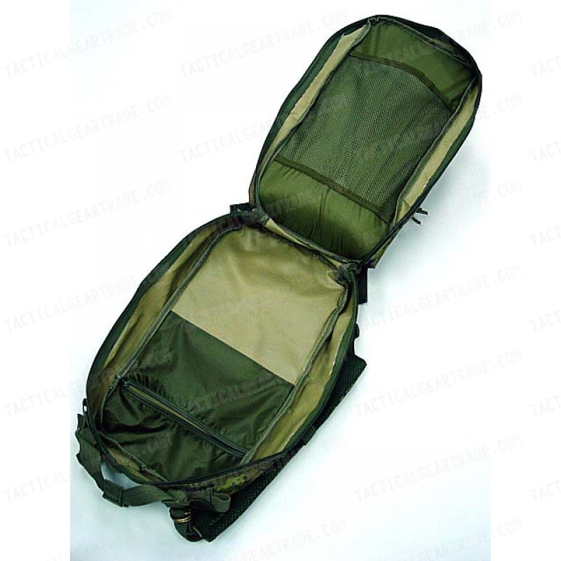 Level 3 Molle Assault Backpack CADPAT Digital Woodland Camo